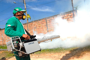  Salvador pode ter surto de dengue no verão