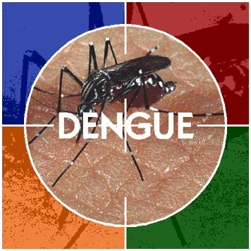  3 de Dezembro: “Dia D” de combate à dengue