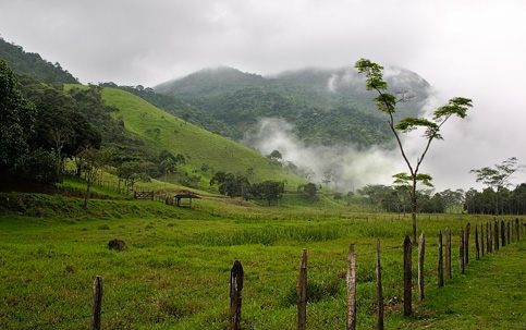  Governo desapropria 60 fazendas para reforma agrária terra