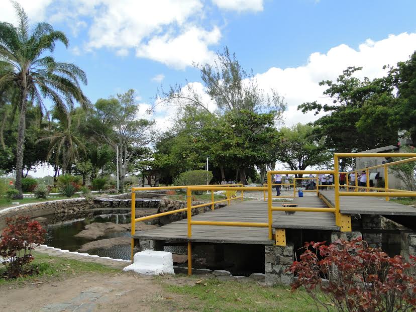  Prefeitura realiza ações de limpeza e preservação ambiental no Parque Belvedere