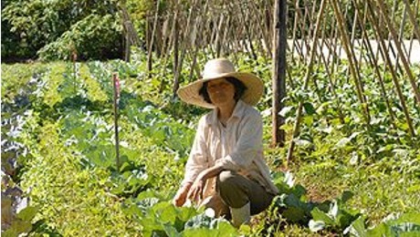  Agricultores familiares da Bacia do Rio Corrente participam de Intercâmbio de Experiências Socioambientais