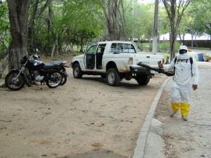  Confirmado Primeiro Caso de Febre Amarela em Paulo Afonso