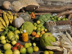  Agricultura influencia primeiro PIB positivo do Ceará em dois anos