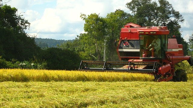  Caixa reduzirá juros de crédito rural em setembro