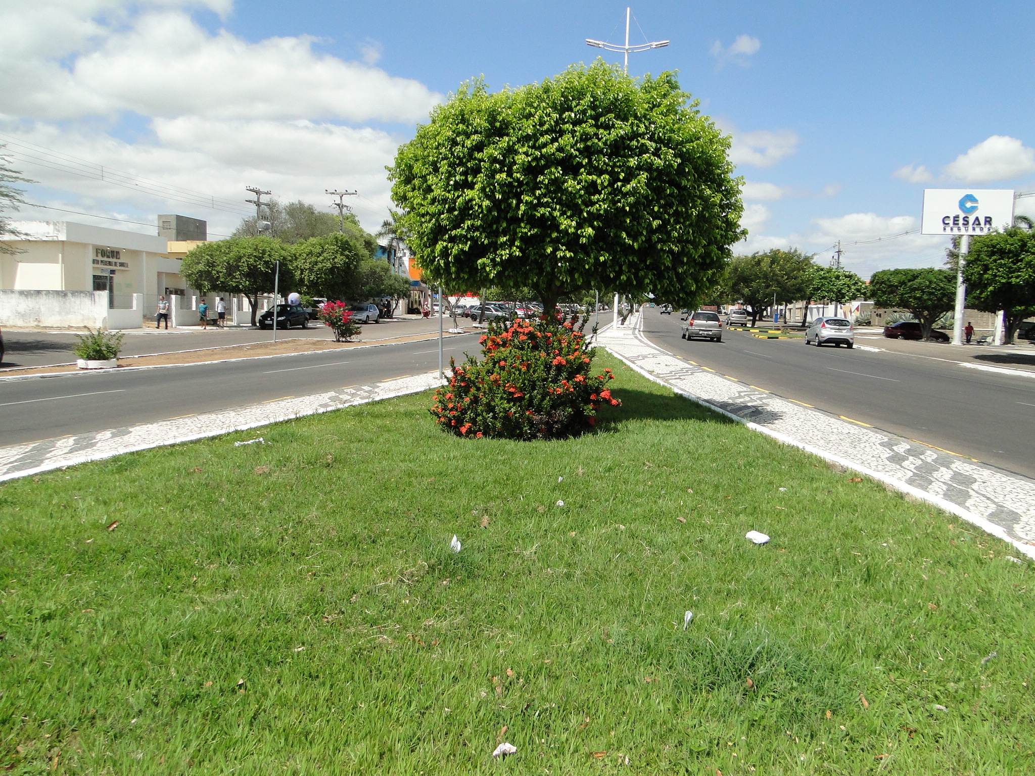  Secretaria investe na preservação do meio ambiente e na conscientização da comunidade