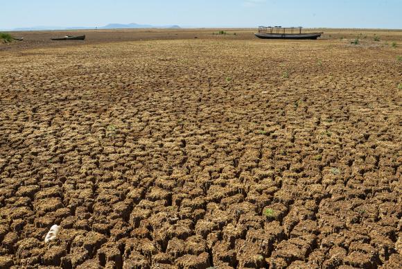  Nordeste já conta com monitoramento piloto para as secas