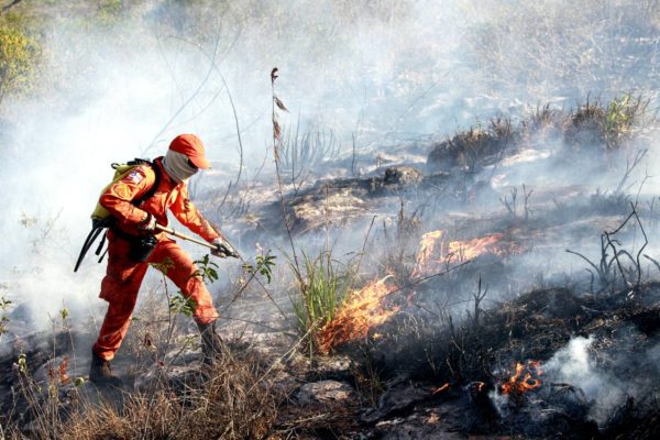  Bahia Sem Fogo capacita brigadistas voluntários em mais de 40 cidades baianas