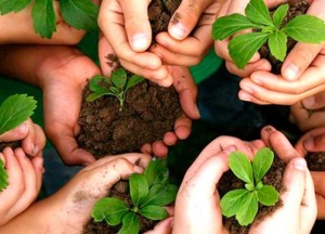  Ministério do Meio Ambiente promove curso para servidores públicos nesta quinta  e sexta-feira