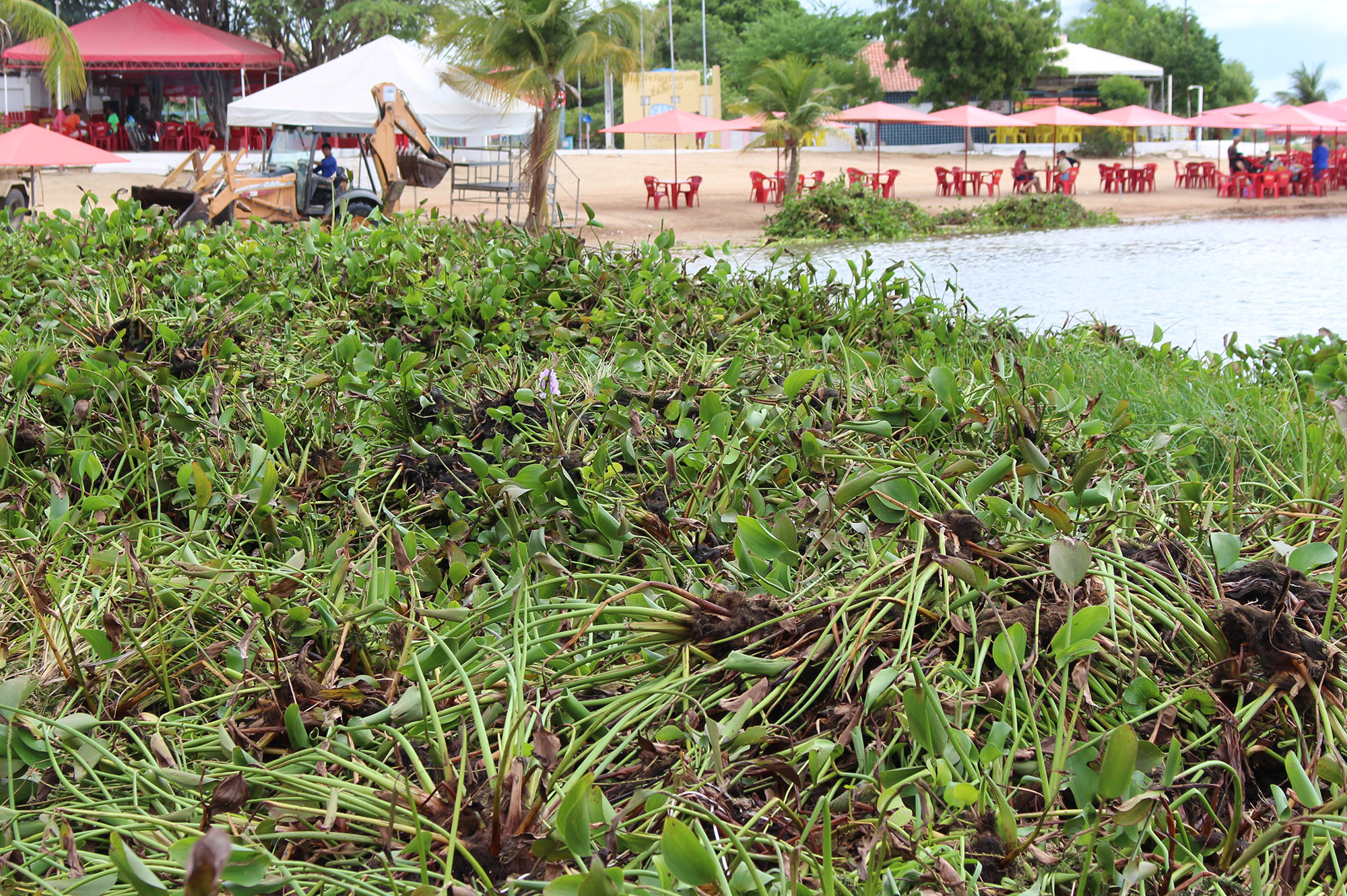  Baronesas são retiradas da barreira de contenção e do Balneário Prainha