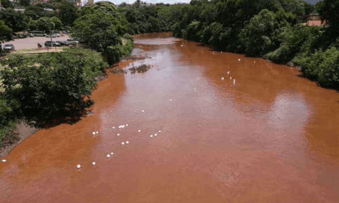  Ibama e Instituto de Minas Gerais contestam informação sobre chegada de rejeitos de Brumadinho ao Rio São Francisco