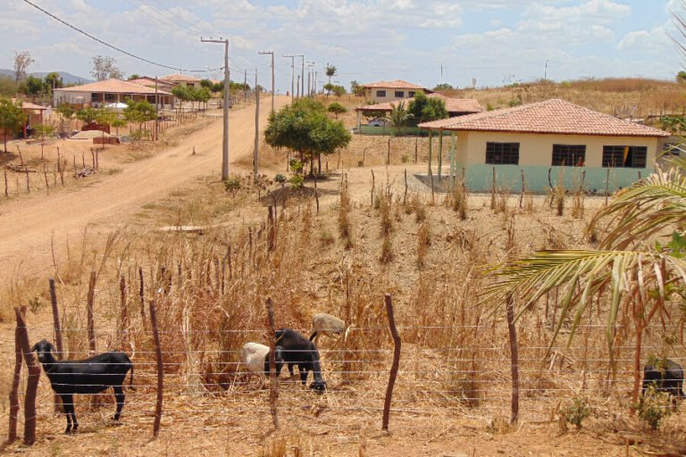  Famílias afetadas pela transposição do São Francisco vivem em abandono