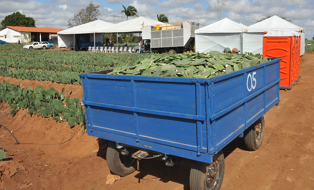  Segunda edição do Dia de Campo vai ser realizado no dia 30 de outubro