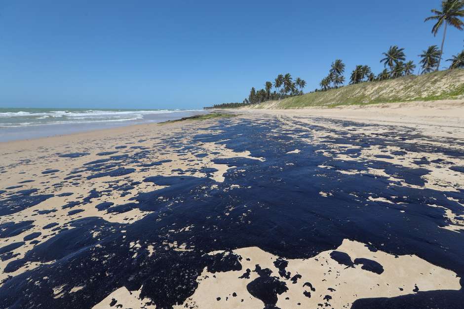  Ibama cobra explicações da Shell sobre barris encontrados