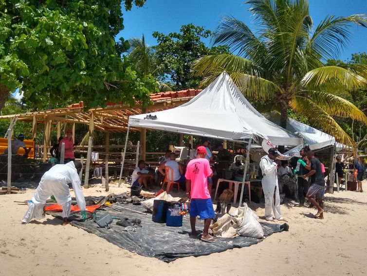  Óleo já atingiu pelo menos 675 áreas de 116 cidades, informa Ibama