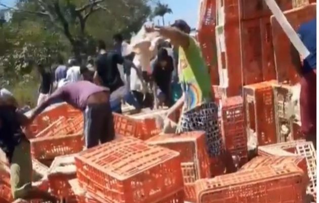  Caminhão carregado de frango tomba na BR 222 e é saqueado