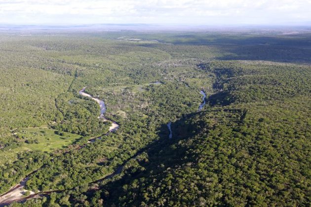  Governo inicia revisão da política sobre mudança do clima do estado da Bahia