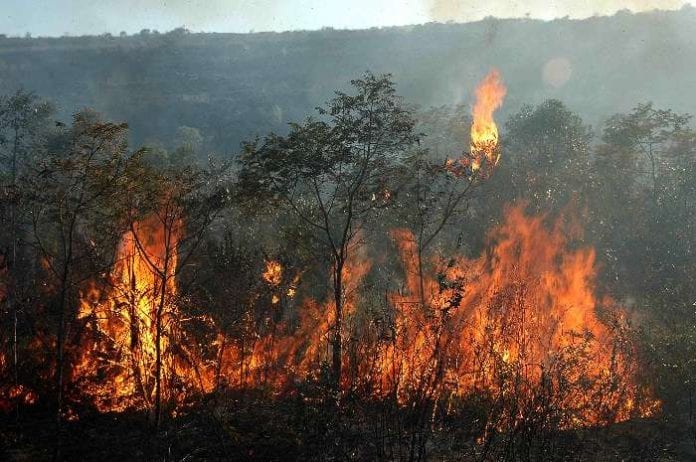  Queimadas na região do Complexo Eólico Alto Sertão II