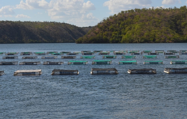  Associação dos Engenheiros de Pesca do Estado da Bahia (AEP-BA) tem registro aprovado no Crea-BA