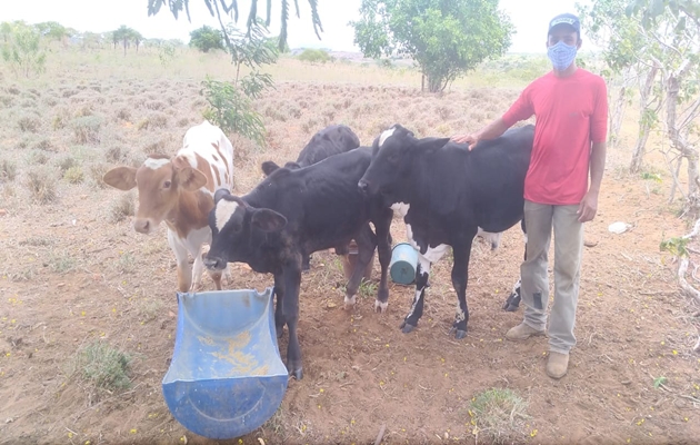  Atividade leiteira em comunidade rural de Jeremoabo registra aumento de mais de 200% na produção