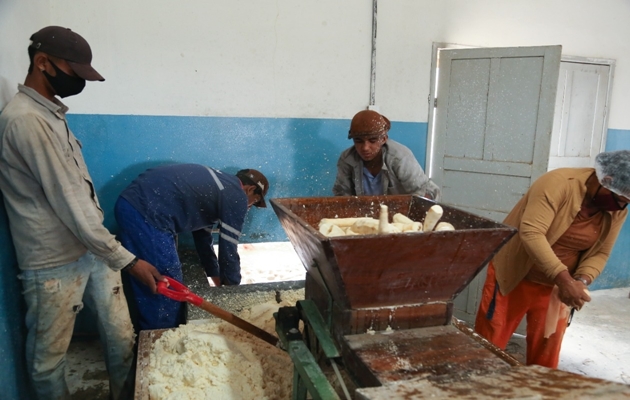  Produção de farinha de mandioca já é realidade para os produtores do Povoado São José