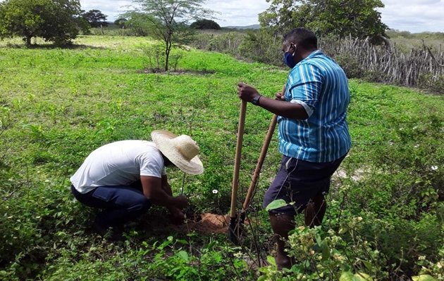  Agricultores e agricultoras familiares de comunidades rurais de Paulo Afonso passam a contar com viveiro de mudas