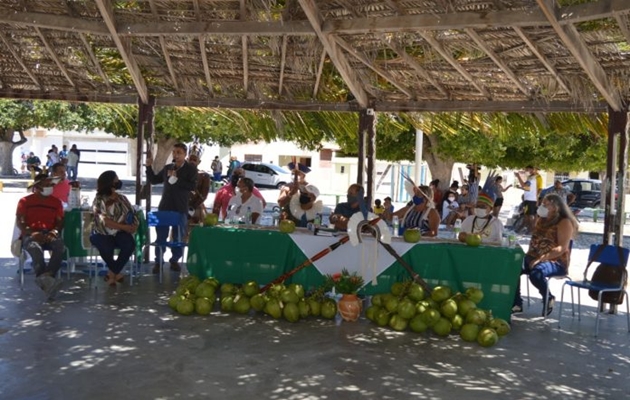  Comunidade Indígena Tuxá se prepara para lançar óleo de coco no mercado