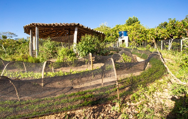  Governo do Estado abre edital para implantação de unidades de produção agroecológica em quilombos e terreiros