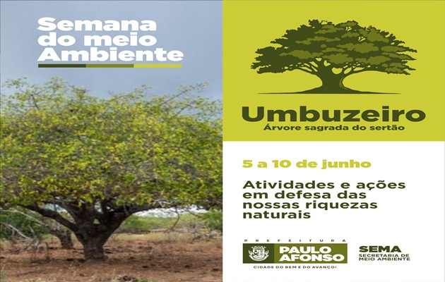  Tombamento do Umbuzeiro na Praça do Coreto marca programação da Semana do Meio Ambiente, em Paulo Afonso/BA