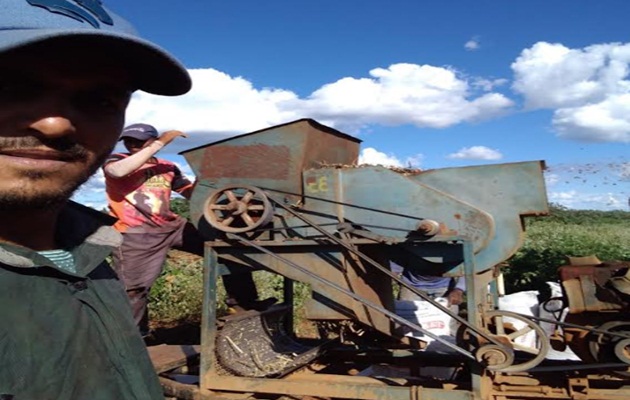  Herança de luta e dignidade marcam história de agricultores familiares na Chapada Diamantina