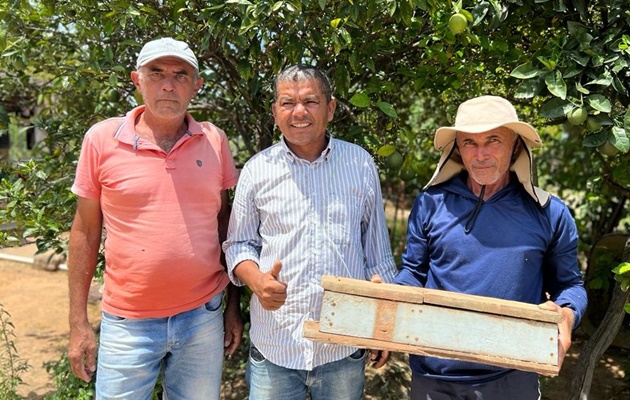  Paulo Afonso conquista 2º lugar na classificação de melhor mel de abelha do país da espécie Jandaíra