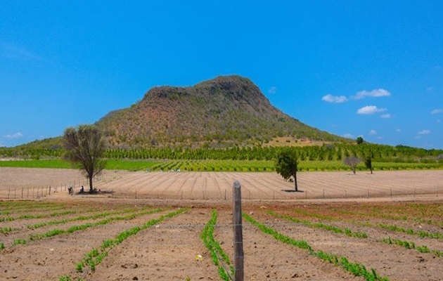  Prefeitura de Glória solicita ao agricultor se cadastrar no Garantia Safra 2022/2023