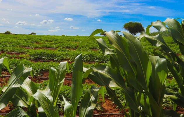  Programa SEMAR garante aração de terra gratuita para o homem do campo em Glória-BA