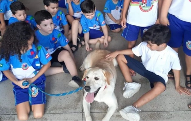  20º Batalhão da Polícia Militar, recebeu a visita de crianças do Centro Educacional Municipal de Paulo Afonso – CEMPA