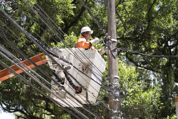  Viu ações suspeitas ou irregulares com a rede elétrica? Saiba como denunciar