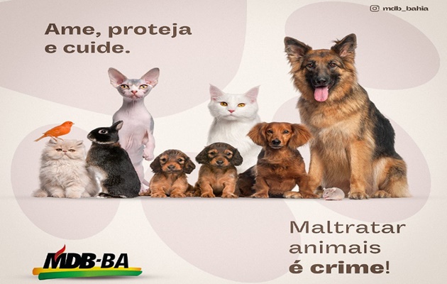 Maltratar Animais é Crime Ame Proteja E Cuide Pa Noticias Pan