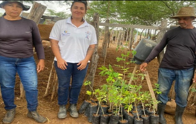  AGENDHA entrega mudas nativas da caatinga nas comunidades de Barro Vermelho e Bogó, em Paulo Afonso