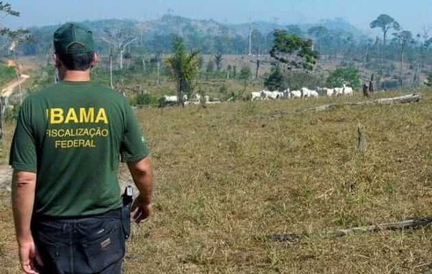  Governo Federal anuncia concursos para Ibama, ICMbio e JBJR