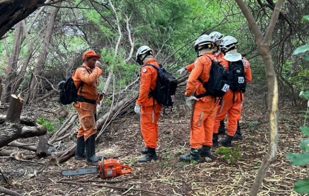  Bombeiros Militares do 15º BBM concluem Curso Básico de Prevenção e Combate a Incêndios Florestais