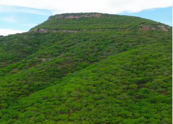  Descubra a Beleza da Serra do Retiro!